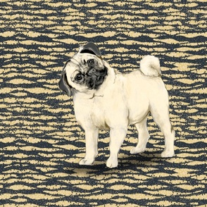 Fawn Pug 2 on Dramatic Background for Pillow