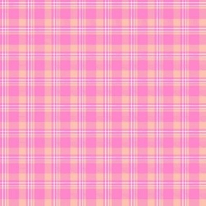 Sweet Peach and Pink Plaid G