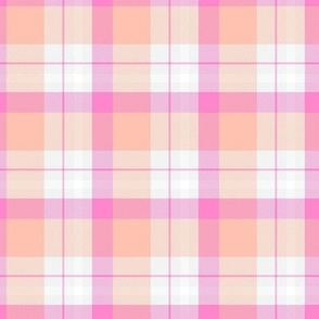Sweet Peach and Pink Plaid D