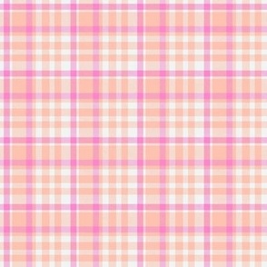 Sweet Pink and Peach Plaid C