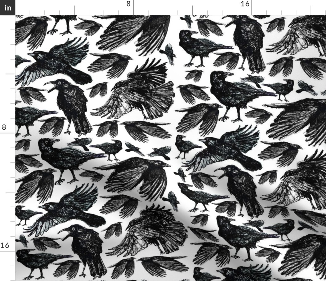 A Murder of Crows - Loosely Drawn 