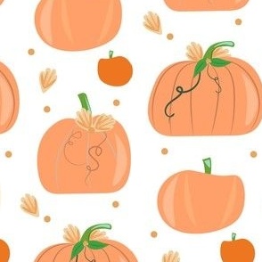 Pumpkins on white background