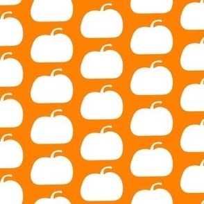 White pumpkins on orange background