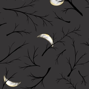 Dark Night Mystic Moon 