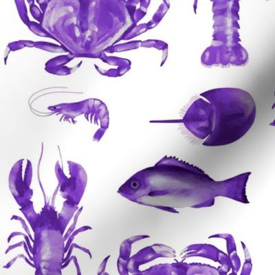 Large Purple Crustaceans on White