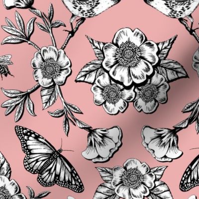 Birds, Butterflies & Flowers in Pink, Black and White
