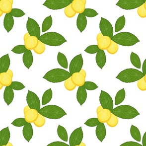 Lovely Lemons - white, medium