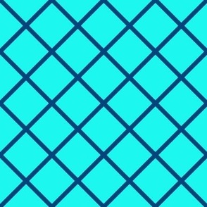 DSC3 - Medium - Diagonally Checked Grid in Aqua and Blue - Coordinate for all DSC3 Designs