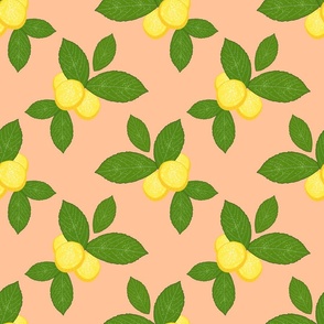 Lovely Lemons - apricot, medium