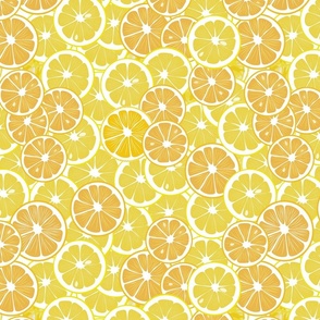 Lemon and orange slices 