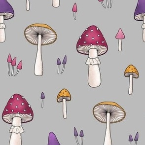 mushrooms on grey