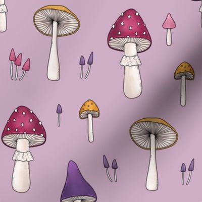 mushrooms on pink