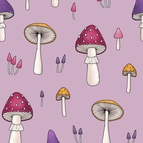 mushrooms on pink