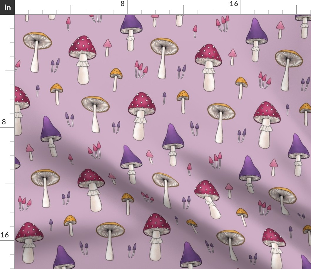 mushrooms on pink