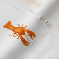Small Orange Watercolor Lobster on White