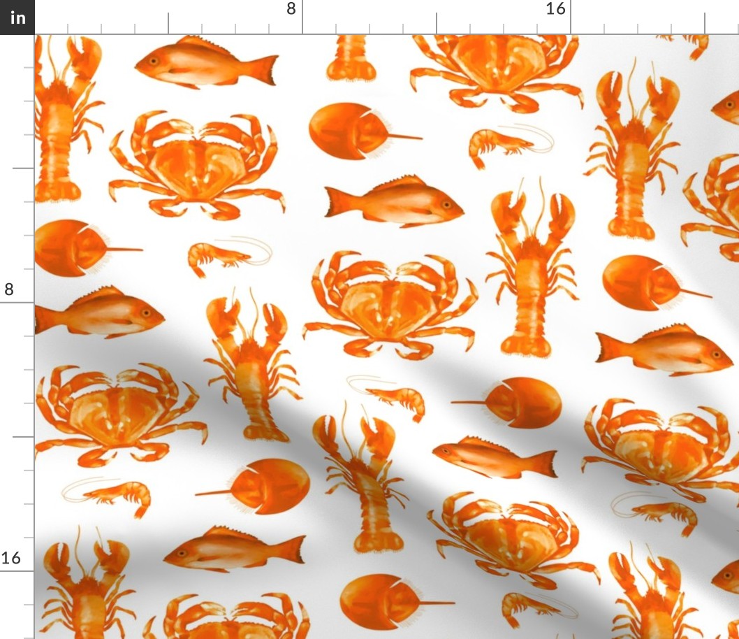 Orange Crustaceans on White