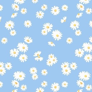 Small Perfect daisies blue 