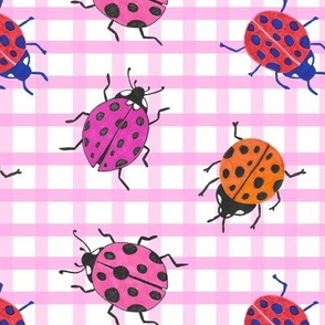 ladybugs on pink gingham