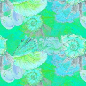 turquoise seashells 6S .pg