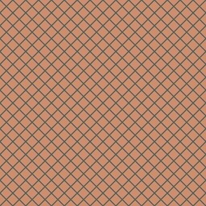DSC11 - Small -  Diagonally Checkered Grid