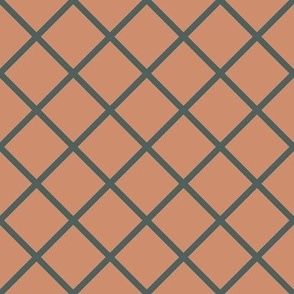 DSC11 - Medium - Diagonally Checked Grid