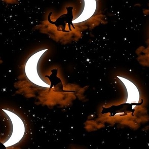 Cats Catching Stars Orange