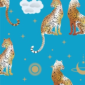 Leopards in the Blue Sky