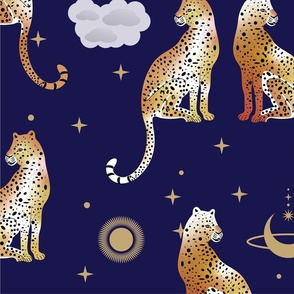 Leopards in the Dark Night