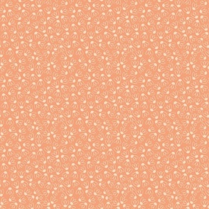 Mini Daisies in Salmon