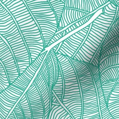 leaves_in_teal_green