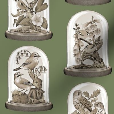 Birds in Cloches - Forest Green
