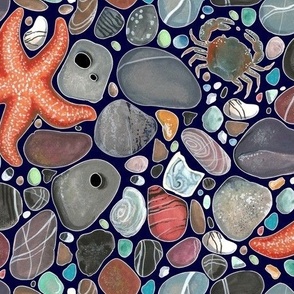 Star fish and Pebbles 