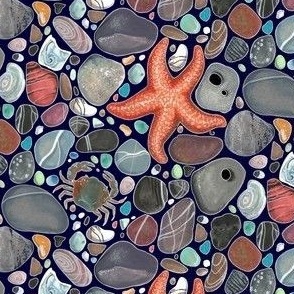 Starfish and pebbles