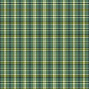 Soothing Celtic Plaid - Mid Size 2" repeat