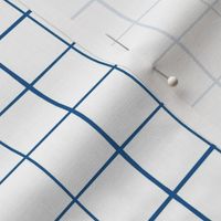 Graph Paper