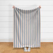 vertical pajama stripes blue and pale pink | medium