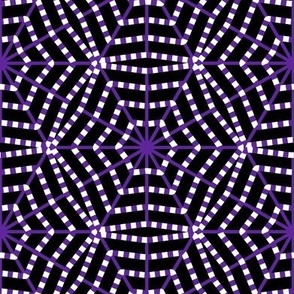 Normal scale • Black and Purple Spider Web