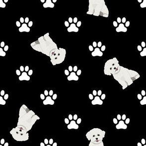 Dogs & Paw Prints Black - Bichon Frise