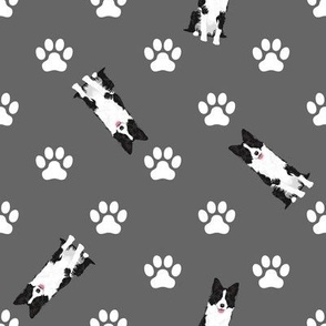 Dogs & Paw Prints Grey - Border Collie