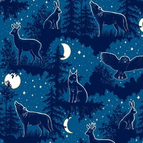 Night in the forest - moonlight and nocturnal animals