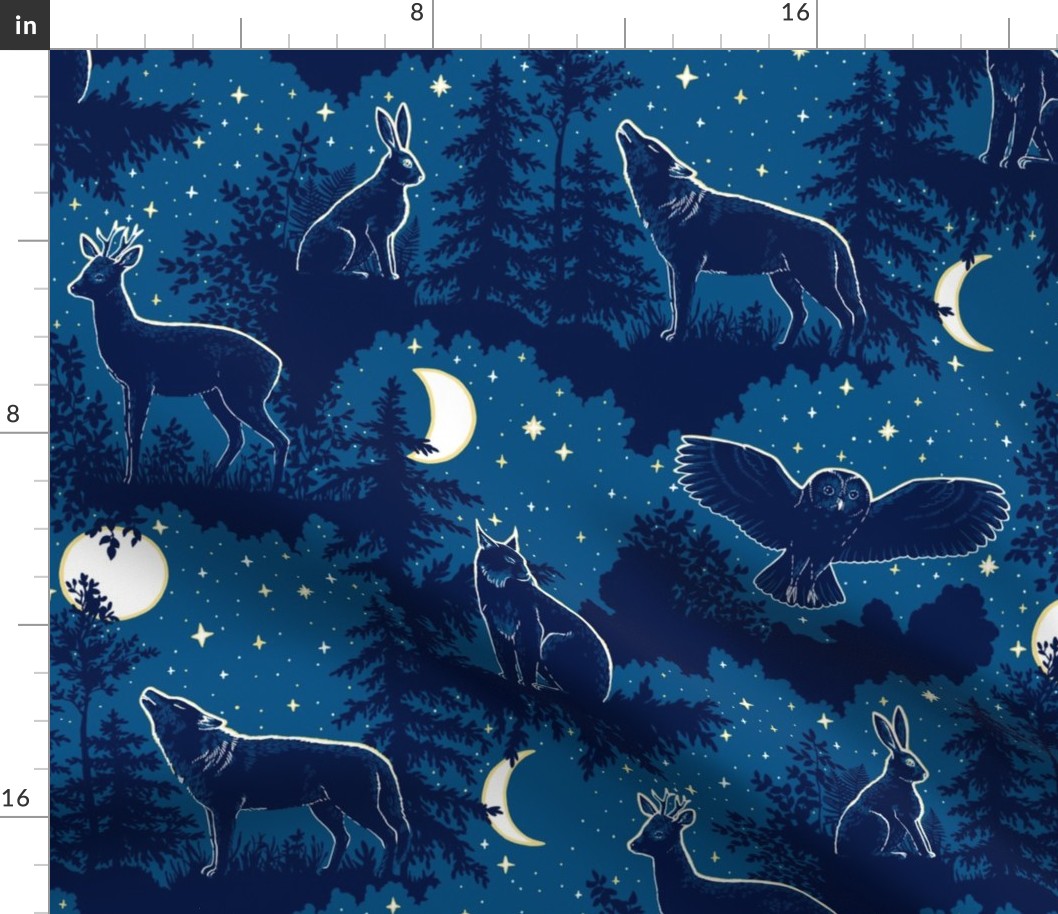 Night in the forest - moonlight and nocturnal animals