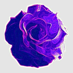 big violet rose