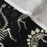 Dinosaur Fossils in Black