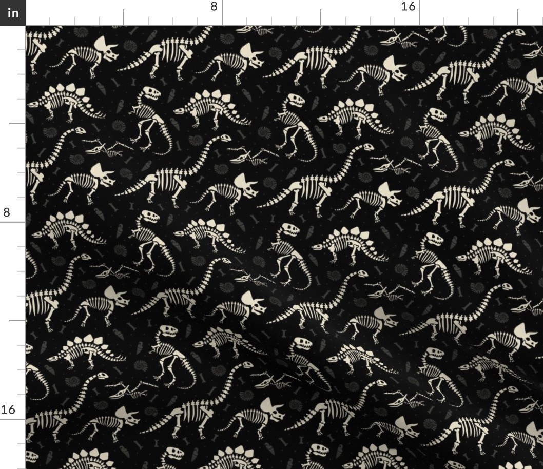 Dinosaur Fossils in Black