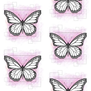 butterfly squares