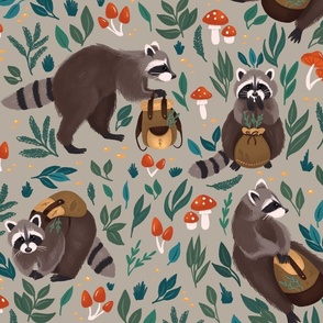 Raccoons grey 