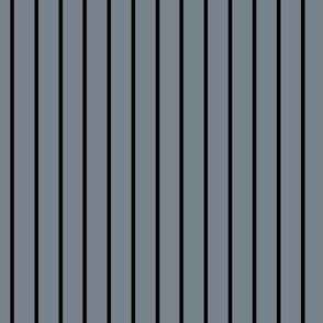 Vertical Pin Stripe Pattern - Faded Denim and Black