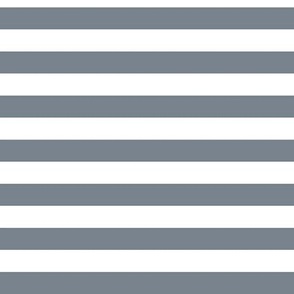 Horizontal Awning Stripe Pattern - Faded Denim and White