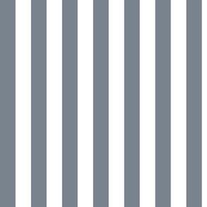 Vertical Awning Stripe Pattern - Faded Denim and White