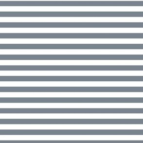 Horizontal Bengal Stripe Pattern - Faded Denim and White
